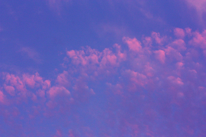 d0178082_9153796.jpg