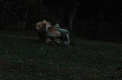 c0123890_1931465.jpg