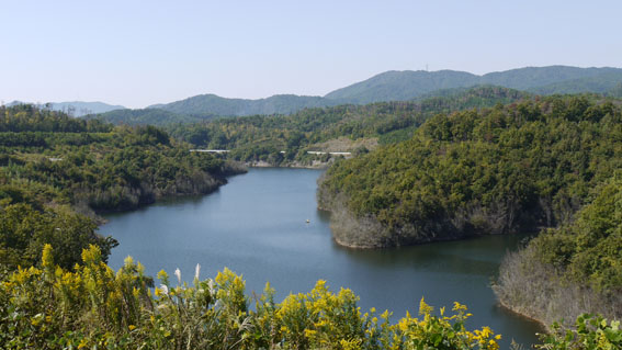 f0222692_928858.jpg