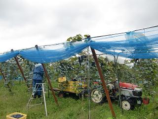 c0187298_21352153.jpg
