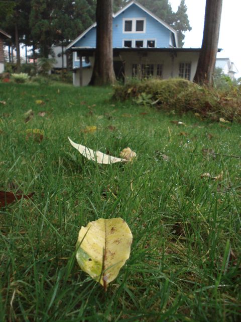 a0061599_7141453.jpg