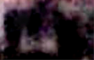 e0103408_1621385.gif