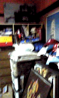 e0103408_16215379.gif