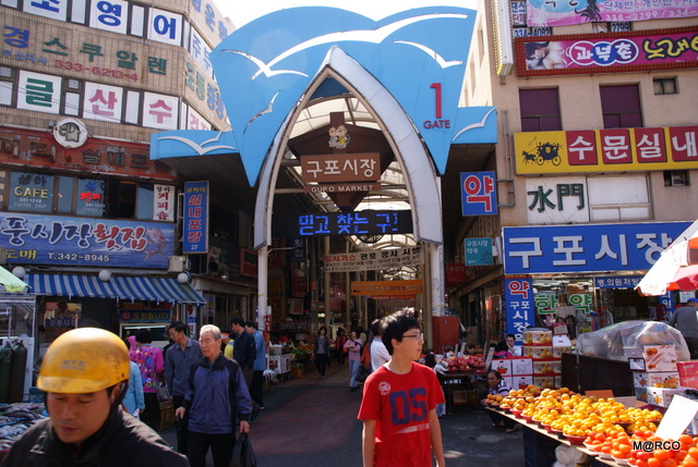 c0037611_215298.jpg