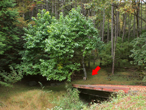 c0012120_22373522.jpg