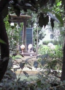 f0165730_013967.jpg