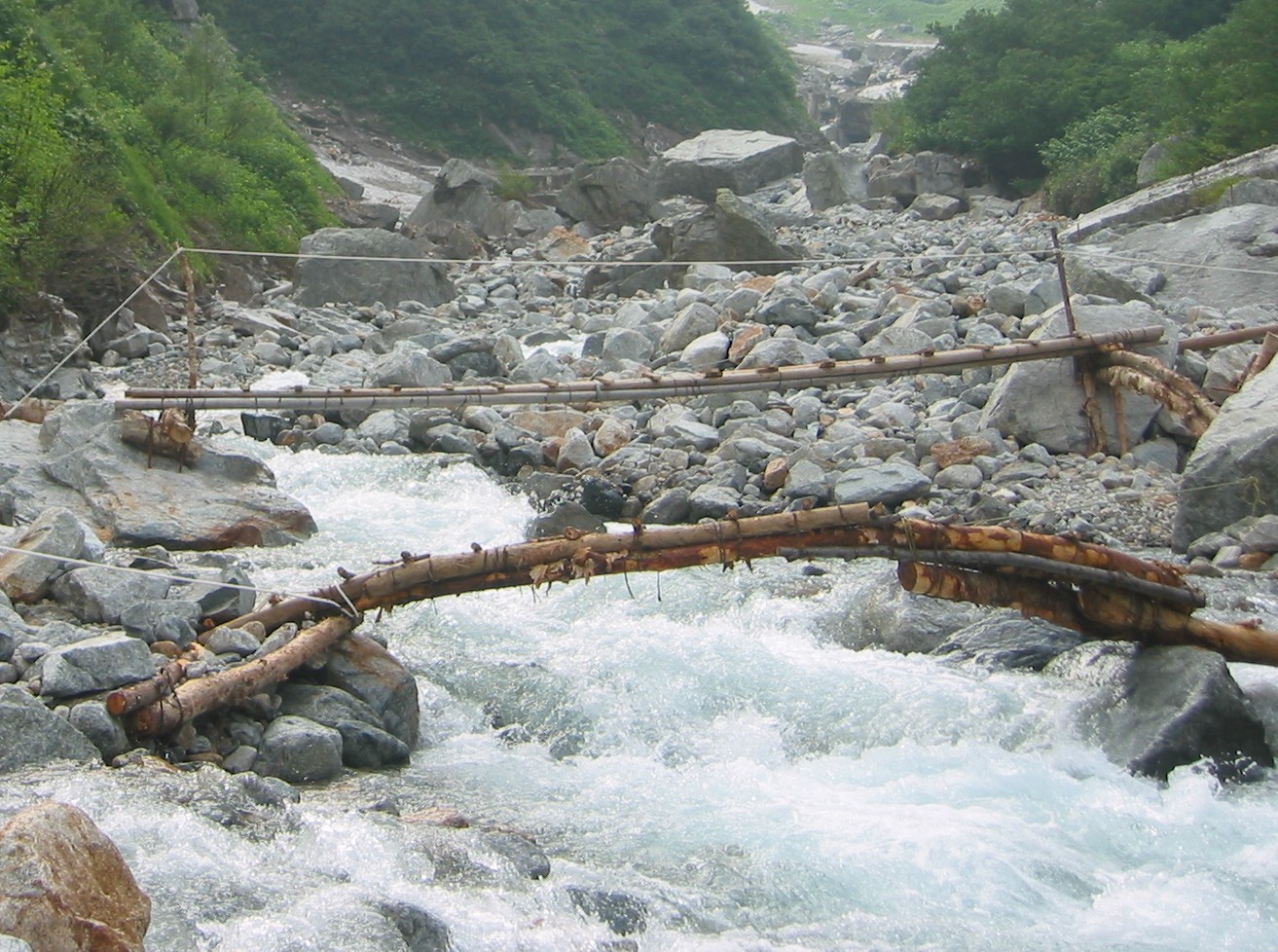 a0119132_174291.jpg