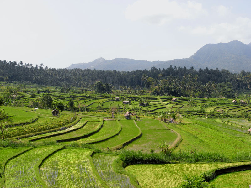b0042837_232750.jpg
