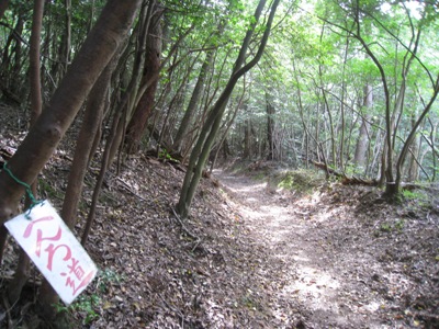 c0077338_0102194.jpg