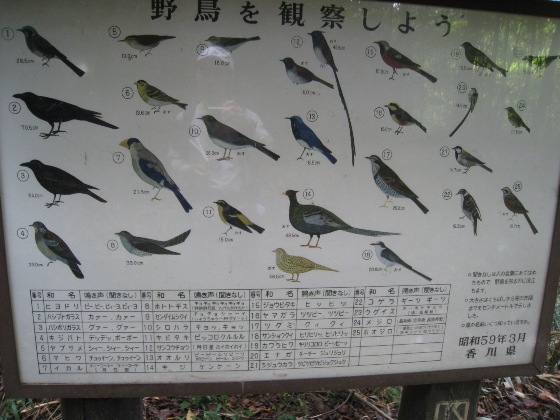 c0077338_0113567.jpg
