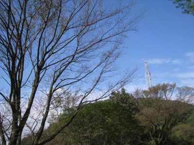 c0077338_085092.jpg