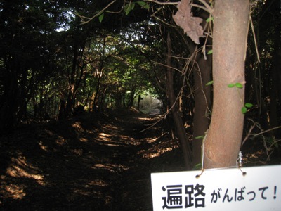 c0077338_08791.jpg