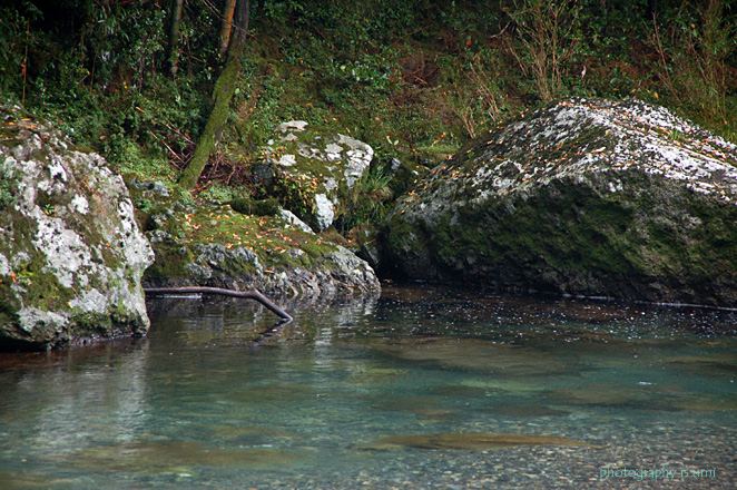 e0083238_23244113.jpg