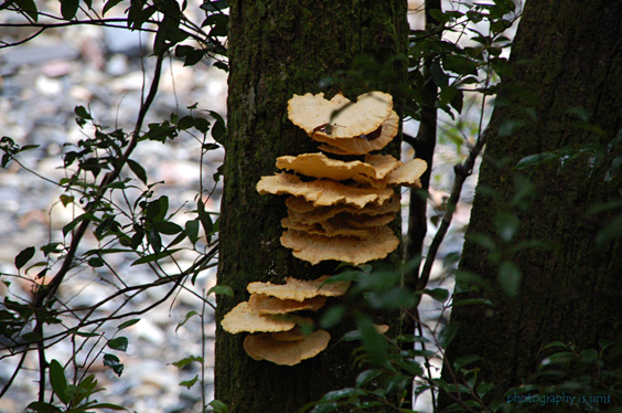 e0083238_23245582.jpg
