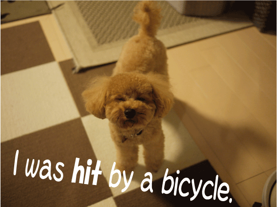 b0182846_23474636.gif