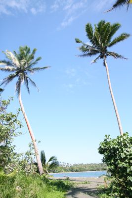 f0041447_1740177.jpg
