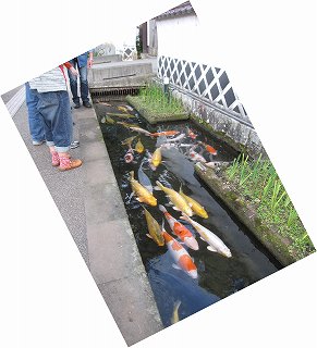 d0031853_303254.jpg