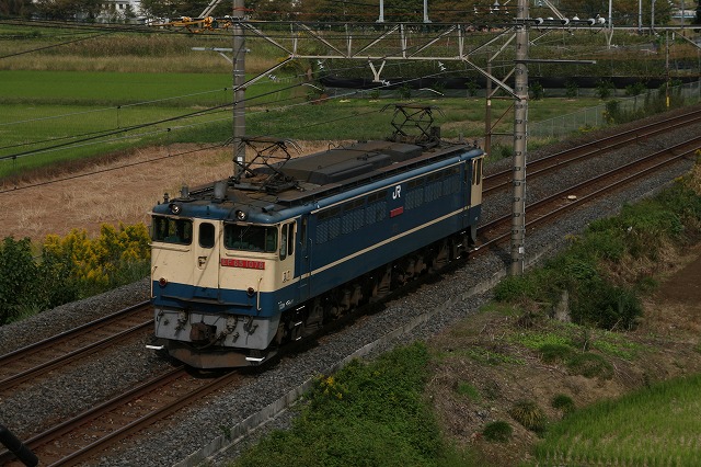 b0002858_2361962.jpg