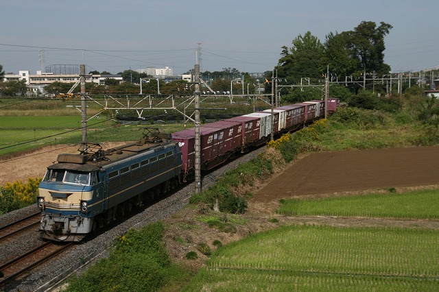 b0002858_2394510.jpg