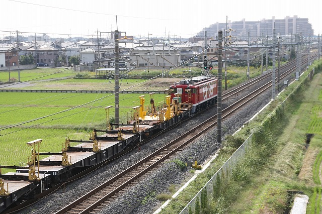 b0002858_2453659.jpg