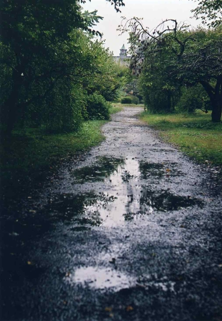 c0082066_23365943.jpg