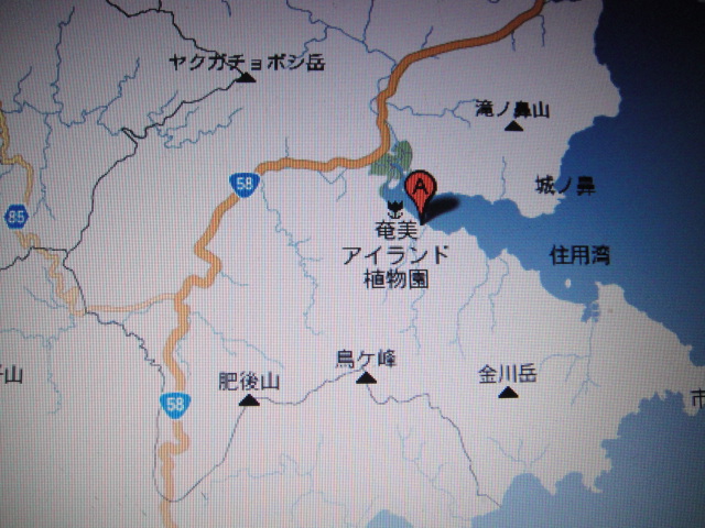 f0137275_438998.jpg