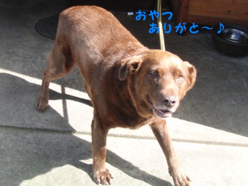 c0163878_9524795.jpg