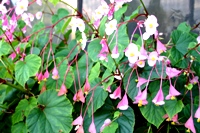 c0057781_15395361.jpg