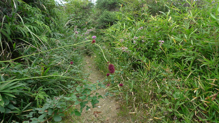 e0024081_1823974.jpg