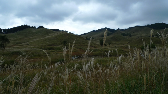 e0024081_18344631.jpg