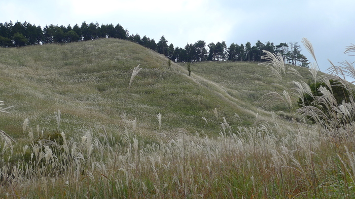 e0024081_18415275.jpg