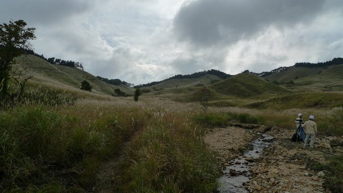 e0024081_18424013.jpg