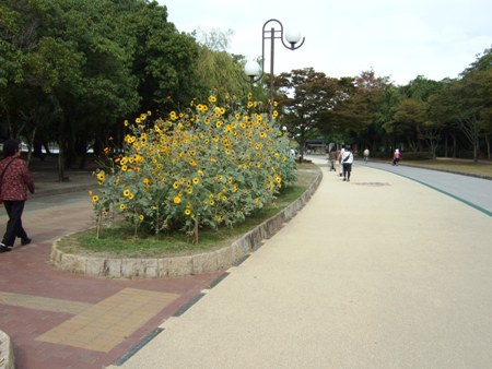 e0086885_2051332.jpg