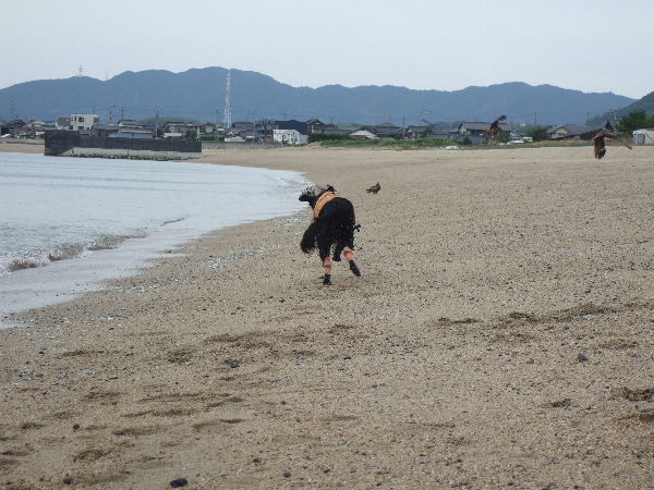 d0070289_1612097.jpg
