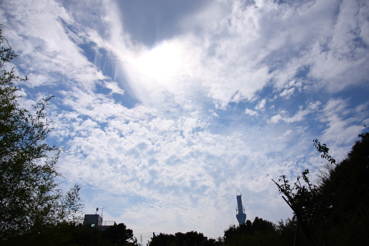 f0164989_0495627.jpg