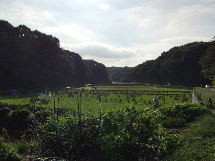 d0170590_23505226.jpg
