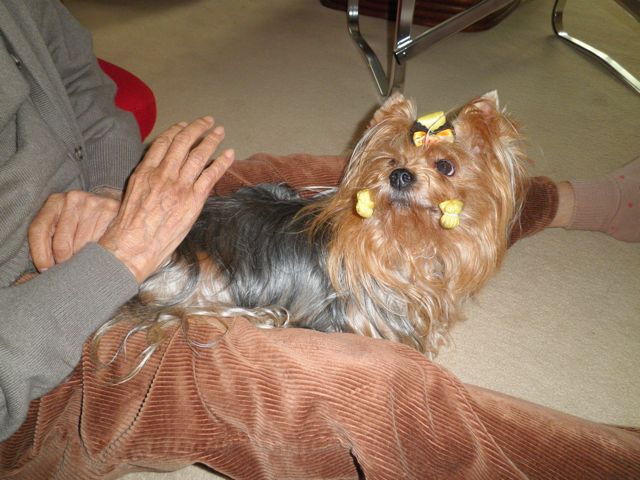 f0130894_21502080.jpg