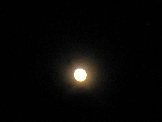 c0119197_1756498.jpg