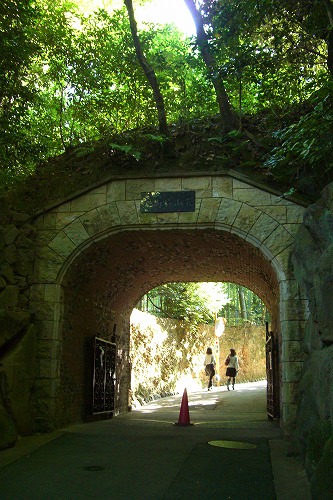 d0005397_1585012.jpg