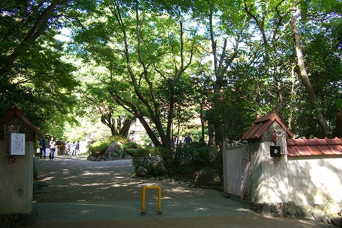 d0005397_159451.jpg