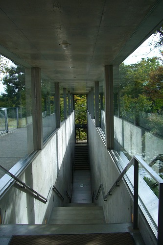 d0005397_201276.jpg