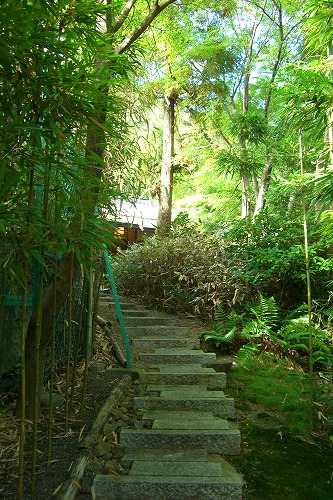 d0005397_203375.jpg