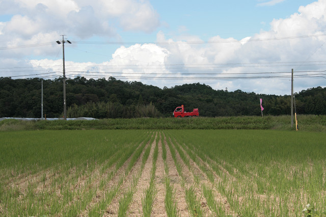 f0083400_12331352.jpg