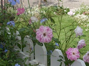 e0207503_20511331.jpg