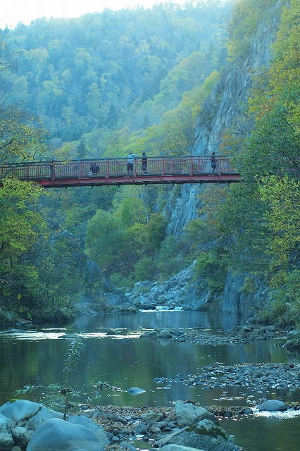 c0202705_20434825.jpg