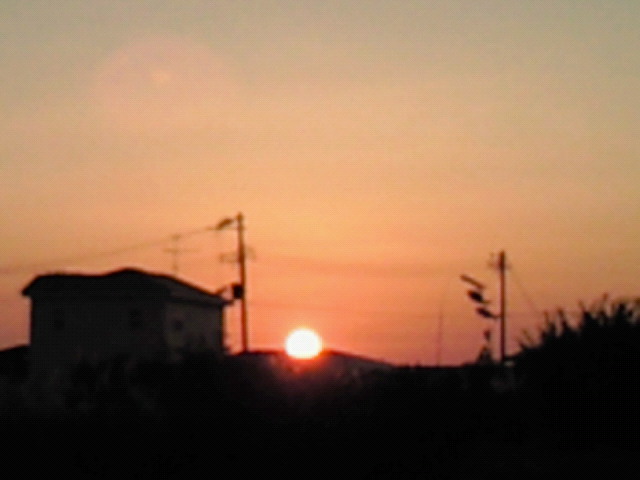 d0149105_17431873.jpg
