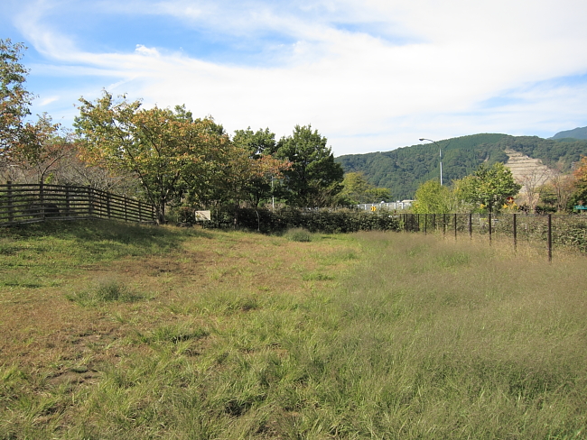 f0126505_2232923.jpg
