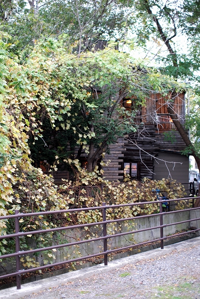 d0089706_21574139.jpg