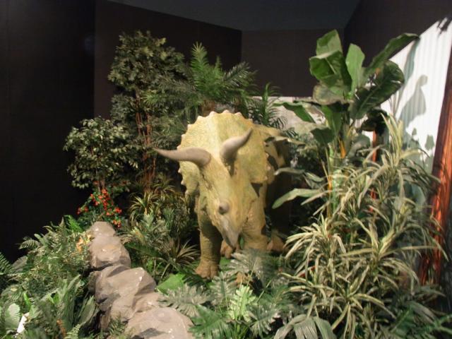 a0091907_1385667.jpg