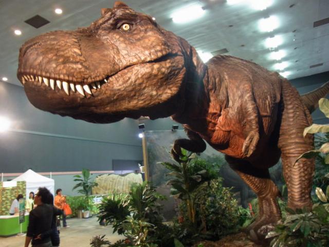 a0091907_139072.jpg